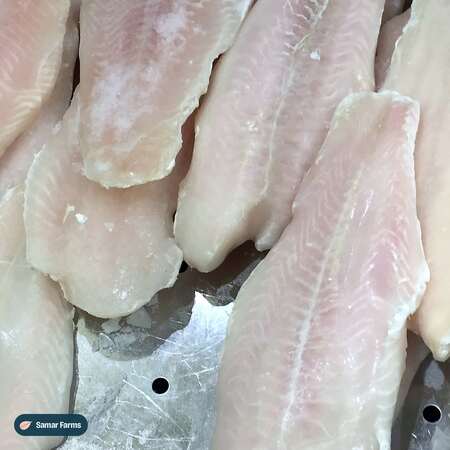 Frozen pangasius fillets close-up